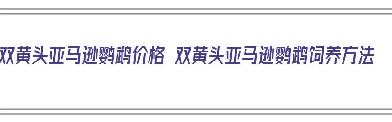 双黄头亚马逊鹦鹉价格 双黄头亚马逊鹦鹉饲养方法