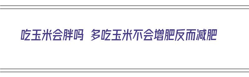 吃玉米会胖吗 多吃玉米不会增肥反而减肥（吃玉米会胖吗 多吃玉米不会增肥反而减肥了）