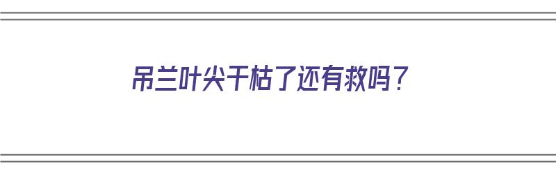 吊兰叶尖干枯了还有救吗？（吊兰叶尖干枯了还有救吗）