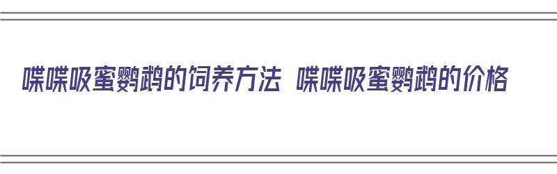 喋喋吸蜜鹦鹉的饲养方法 喋喋吸蜜鹦鹉的价格