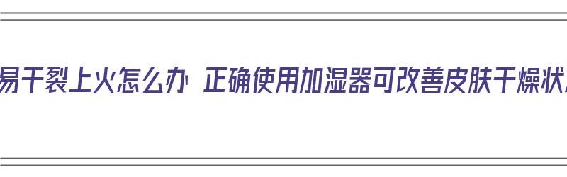 嘴唇易干裂上火怎么办 正确使用加湿器可改善皮肤干燥状况（嘴唇干加湿器有用吗）