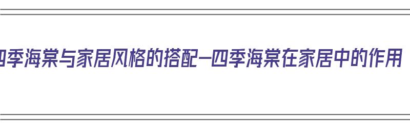 四季海棠与家居风格的搭配-四季海棠在家居中的作用（四季海棠花图片适合家里养吗）