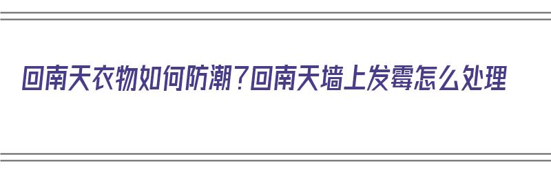 回南天衣物如何防潮？回南天墙上发霉怎么处理（回南天衣服发霉怎么洗）