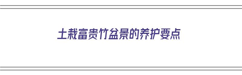 土栽富贵竹盆景的养护要点（土栽富贵竹盆景的养护要点是什么）