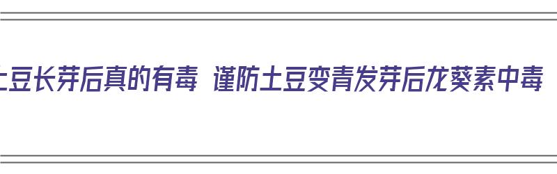 土豆长芽后真的有毒 谨防土豆变青发芽后龙葵素中毒（土豆长芽有毒么）