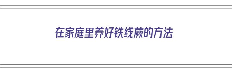 在家庭里养好铁线蕨的方法（在家庭里养好铁线蕨的方法有哪些）