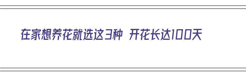 在家想养花就选这3种 开花长达100天（在家想养花就选这3种 开花长达100天的植物）