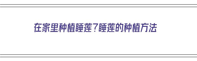 在家里种植睡莲？睡莲的种植方法（在家里种植睡莲?睡莲的种植方法视频）