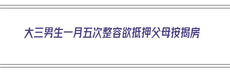 大三男生一月五次整容欲抵押父母按揭房