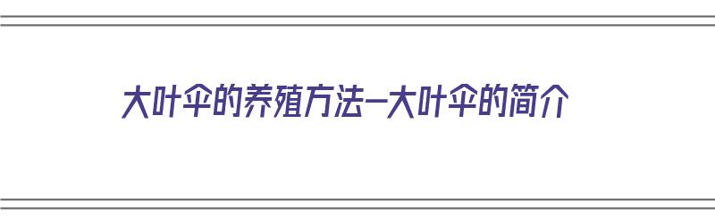 大叶伞的养殖方法-大叶伞的简介（大叶伞的养殖方法和注意）