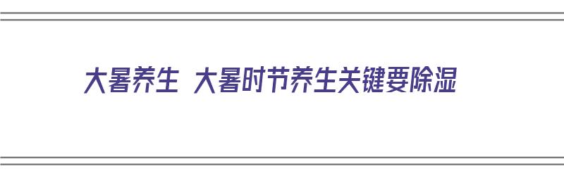 大暑养生 大暑时节养生关键要除湿（大暑养生重在祛湿）