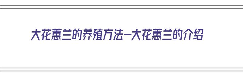 大花蕙兰的养殖方法-大花蕙兰的介绍（大花蕙兰的养殖方法和注意事项大全）