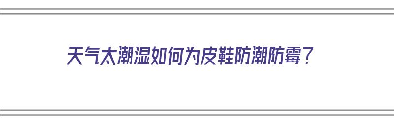 天气太潮湿如何为皮鞋防潮防霉？（天气太潮湿如何为皮鞋防潮防霉）