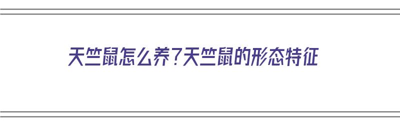 天竺鼠怎么养？天竺鼠的形态特征（天竺鼠简介）