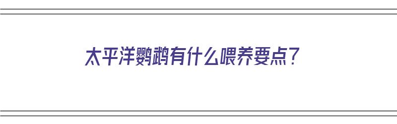 太平洋鹦鹉有什么喂养要点？（太平洋鹦鹉有什么喂养要点呢）