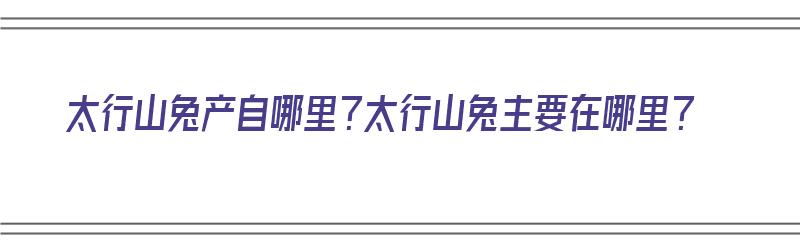 太行山兔产自哪里？太行山兔主要在哪里？（太行山兔子）