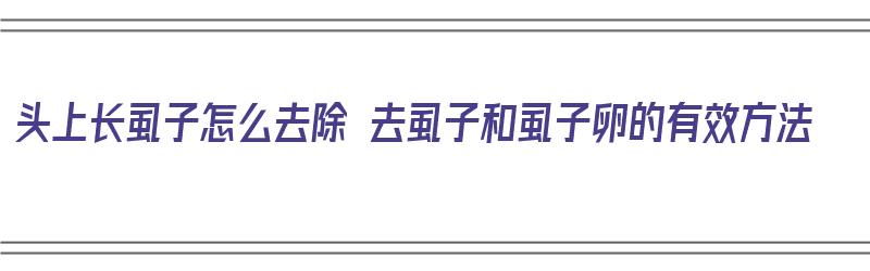 头上长虱子怎么去除 去虱子和虱子卵的有效方法（头上长虱子了怎么办怎样把虱子去掉）