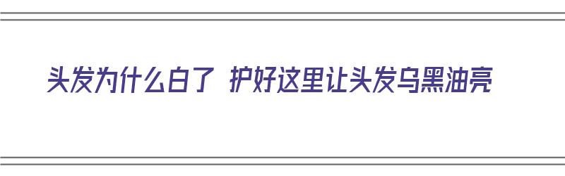 头发为什么白了 护好这里让头发乌黑油亮（头发为什么变白又变黑）