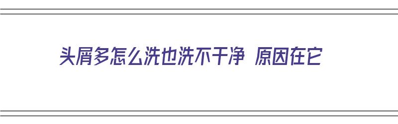 头屑多怎么洗也洗不干净 原因在它（头屑多洗不干净怎么办）