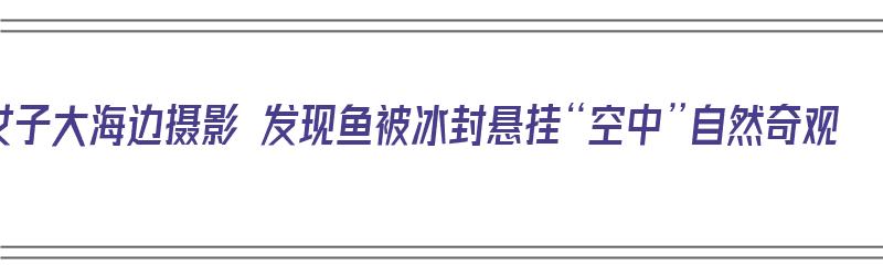 女子大海边摄影 发现鱼被冰封悬挂“空中”自然奇观（“鱼被海风吹走了”）