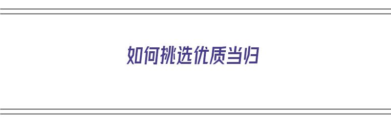 如何挑选优质当归（如何挑选优质当归的好坏）