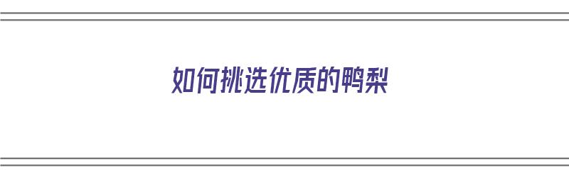 如何挑选优质的鸭梨（如何挑选优质的鸭梨子）