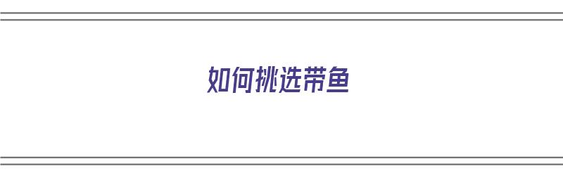 如何挑选带鱼（如何挑选带鱼?怎样辨别带鱼的好坏）