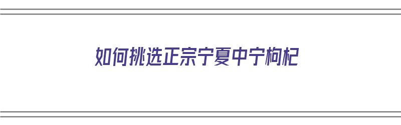 如何挑选正宗宁夏中宁枸杞（怎样买到正宗的宁夏中宁枸杞）