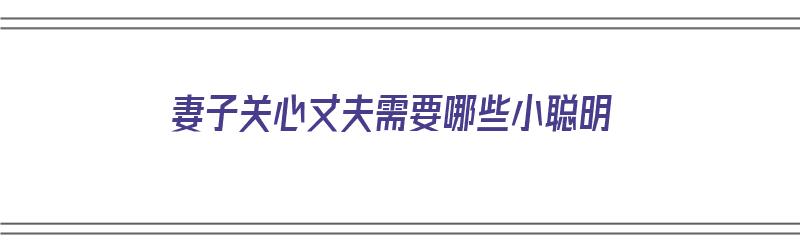 妻子关心丈夫需要哪些小聪明（妻子关心丈夫需要哪些小聪明的东西）