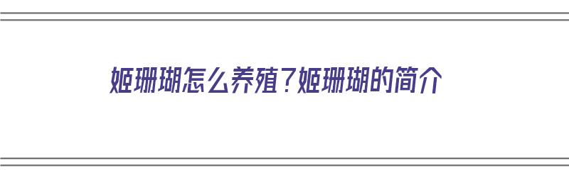 姬珊瑚怎么养殖？姬珊瑚的简介（姬珊瑚的养殖方法和注意事项）