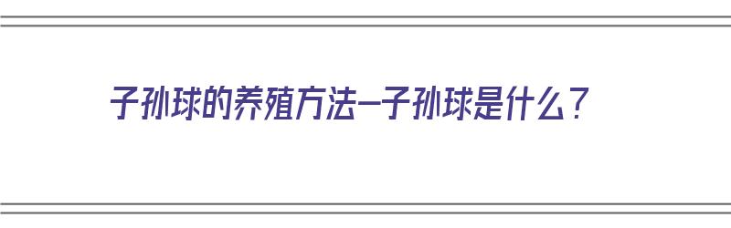 子孙球的养殖方法-子孙球是什么？（子孙球的养殖方法和注意）