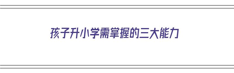 孩子升小学需掌握的三大能力（孩子升小学需掌握的三大能力是什么）