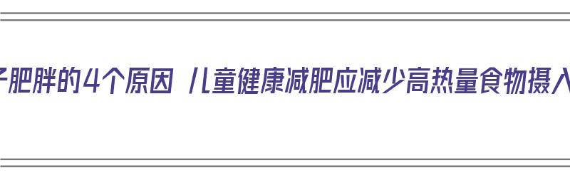 孩子肥胖的4个原因 儿童健康减肥应减少高热量食物摄入（小孩肥胖的原因及减肥方法）