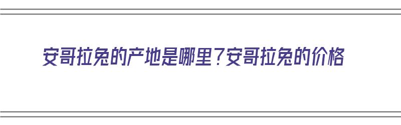 安哥拉兔的产地是哪里？安哥拉兔的价格（安哥拉兔在什么地方）