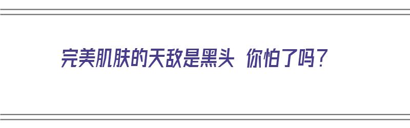 完美肌肤的天敌是黑头 你怕了吗？（完美肌肤是怎么样的）