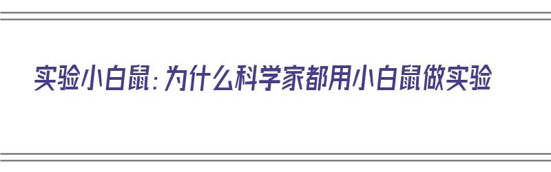 实验小白鼠：为什么科学家都用小白鼠做实验（为什么科学家做实验都要用小白鼠来做实验呢）