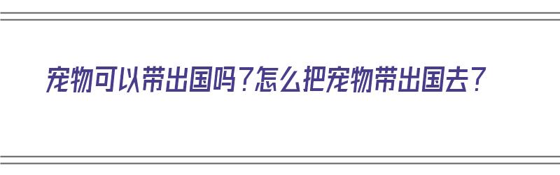 宠物可以带出国吗？怎么把宠物带出国去？（宠物可以带出国吗?怎么把宠物带出国去呢）