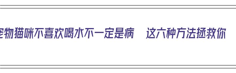 宠物猫咪不喜欢喝水不一定是病  这六种方法拯救你（宠物猫不喜欢喝水怎么办）