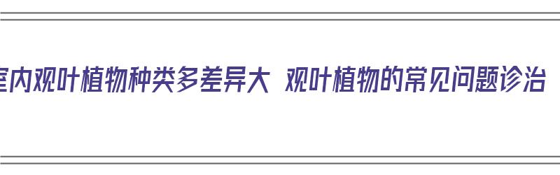 室内观叶植物种类多差异大 观叶植物的常见问题诊治（室内大型观叶植物100种）