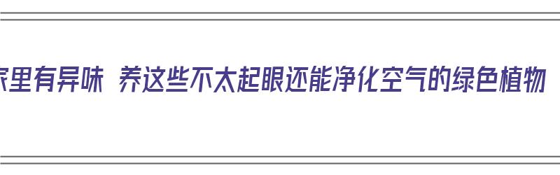 家里有异味 养这些不太起眼还能净化空气的绿色植物（净化空气异味的室内植物）