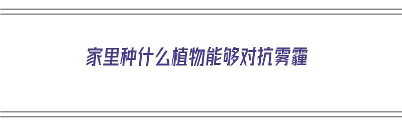 家里种什么植物能够对抗雾霾（家里种什么植物能够对抗雾霾呢）