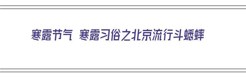 寒露节气 寒露习俗之北京流行斗蟋蟀（老北京斗蟋蟀）