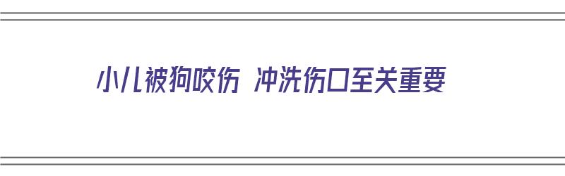 小儿被狗咬伤 冲洗伤口至关重要（孩子被小狗咬破点皮,请问用不用打针）