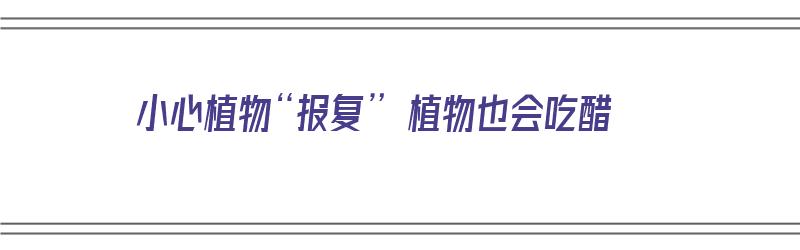 小心植物“报复” 植物也会吃醋（植物报复人类）