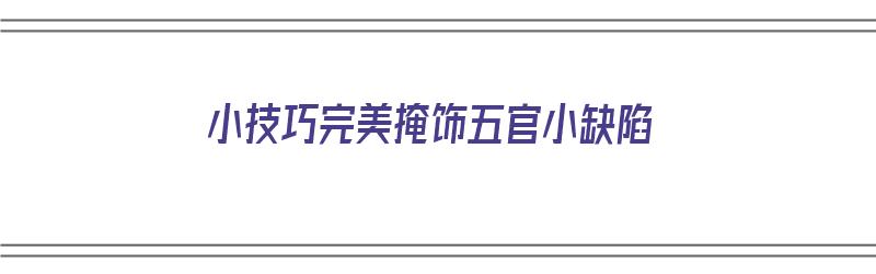 小技巧完美掩饰五官小缺陷（掩盖容貌）