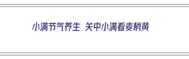 小满节气养生 关中小满看麦梢黄（小满时节麦子）