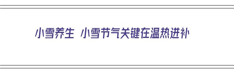 小雪养生 小雪节气关键在温热进补（小雪节气养生常识百度经验）