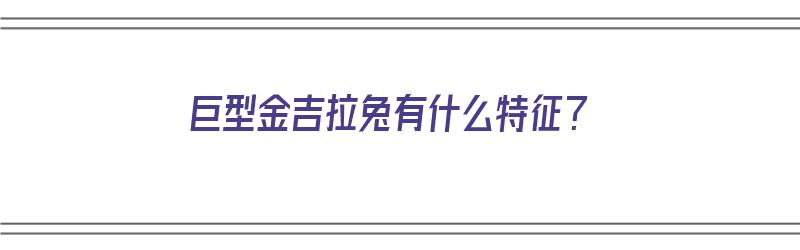 巨型金吉拉兔有什么特征？（巨型金吉拉兔有什么特征）