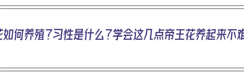 帝王花如何养殖？习性是什么？学会这几点帝王花养起来不难！（帝王花的养殖方法）