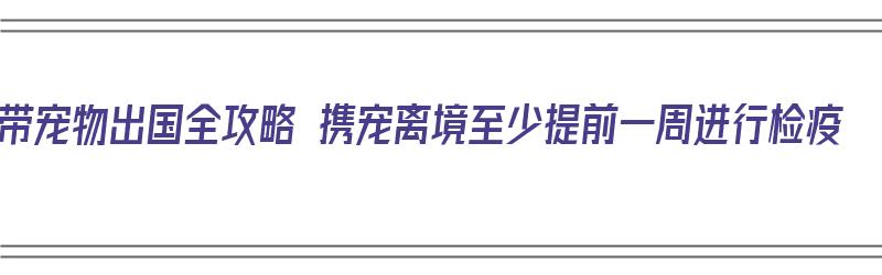 带宠物出国全攻略 携宠离境至少提前一周进行检疫（带宠物出国需要什么检疫手续）